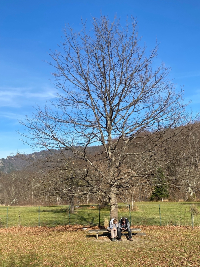 ������� �������, ����� �������� � �������