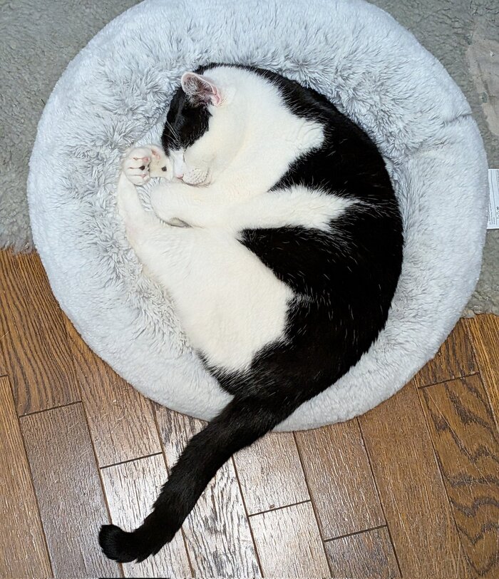 <!--noindex--><a href="https://pikabu.ru/story/nalili_kota_a_on_vyitekaet_13523384?u=https%3A%2F%2Fx.com%2Fi%2Fstatus%2F2002657996409897084&t=https%3A%2F%2Fx.com%2Fi%2Fstatus%2F2002657996409897084&h=d51ee055939aa6a252048eda6d5fb1eb95de8c99" title="https://x.com/i/status/2002657996409897084" target="_blank" rel="nofollow noopener">https://x.com/i/status/2002657996409897084</a><!--/noindex-->