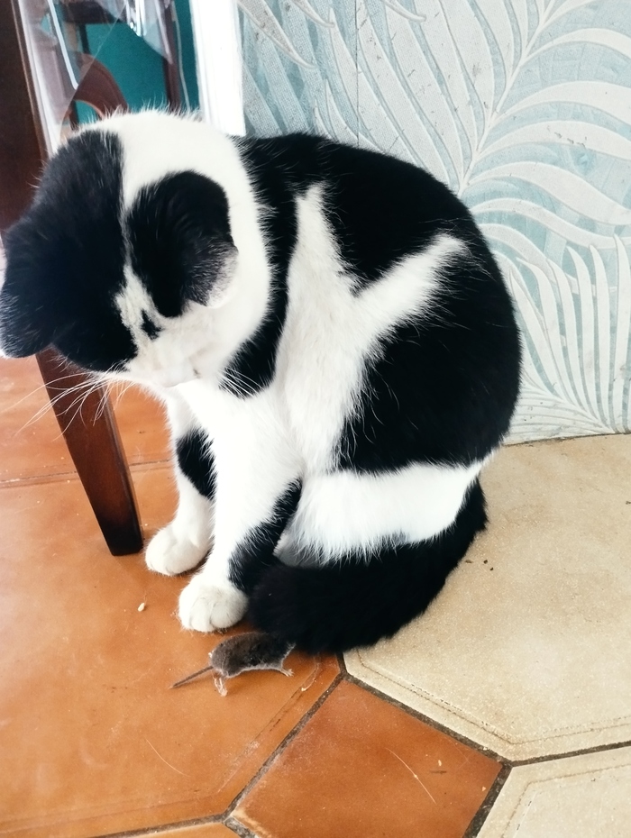 ��������, ���� ��� ���� ���� �� �����!