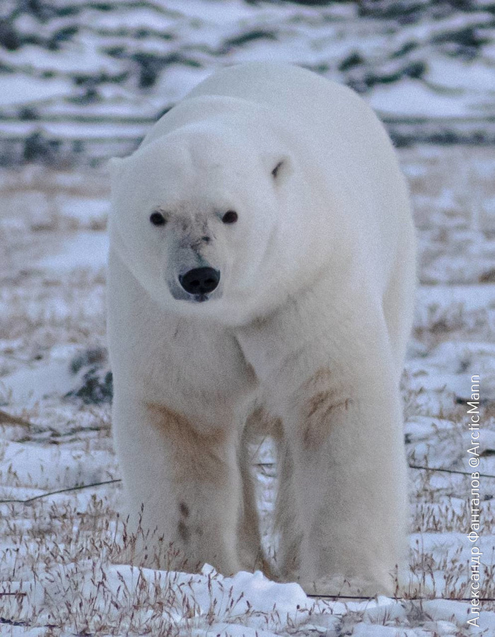 ����� ������� ������� ����������� ������� �� ������� ������� ���