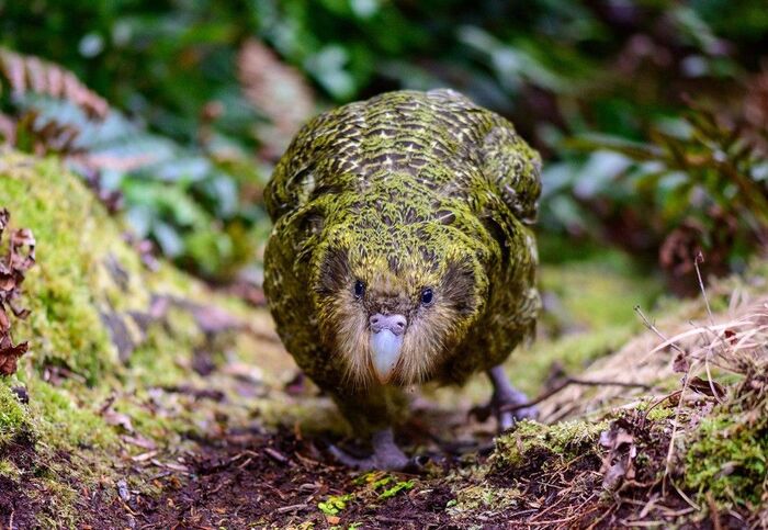 ��� � ����� ���������� ������� (������� ����� �� ���� ���� � �����) ���� ����� ����� ����� � ��������� ����. �������, ��� � ���� ����, ������� ��������!