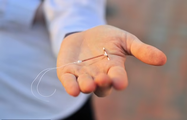 ����������, ����������� ��� ������������� ���� ������ ������� � �������-���������� � ������� ������, �������� ������� ������������, ����������� ����, �������� � ���������.