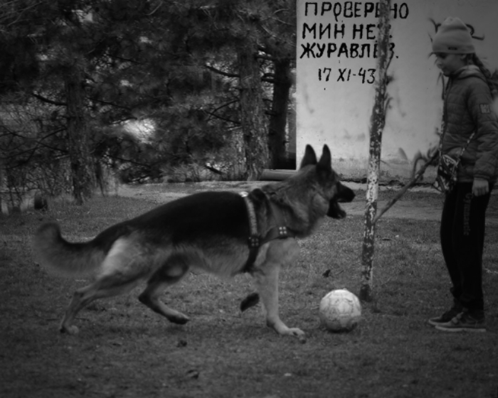 ���� �� ����� ������ ���������������� ������-������������� ������ "�������"