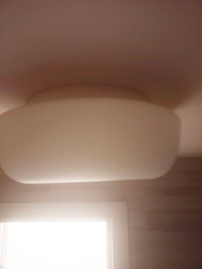 ��� ������