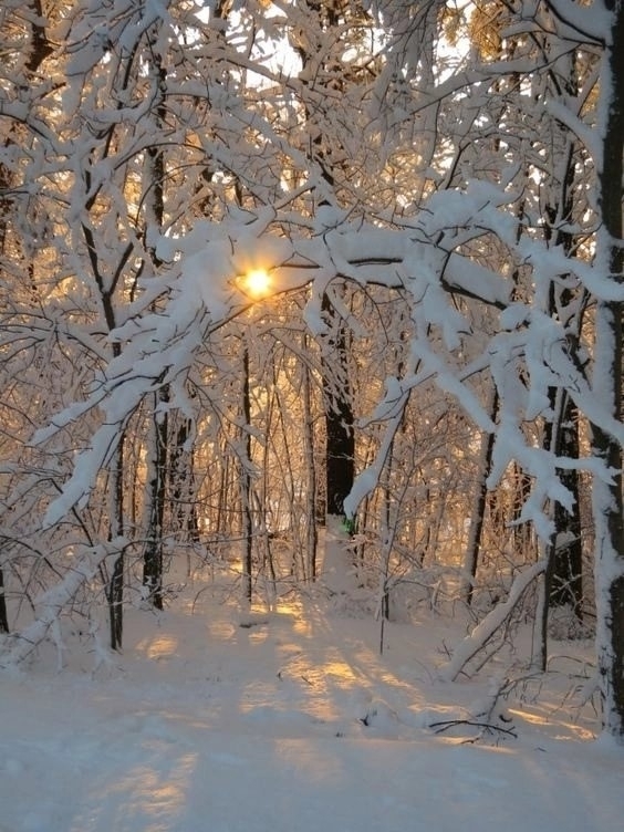 ������� ����