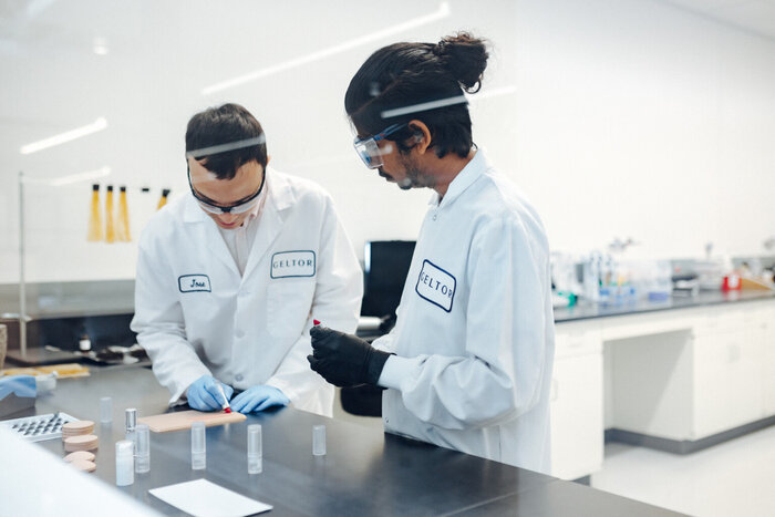 ����� - ������������ ����� �����