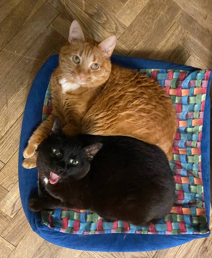 ������ ���� ���� �����