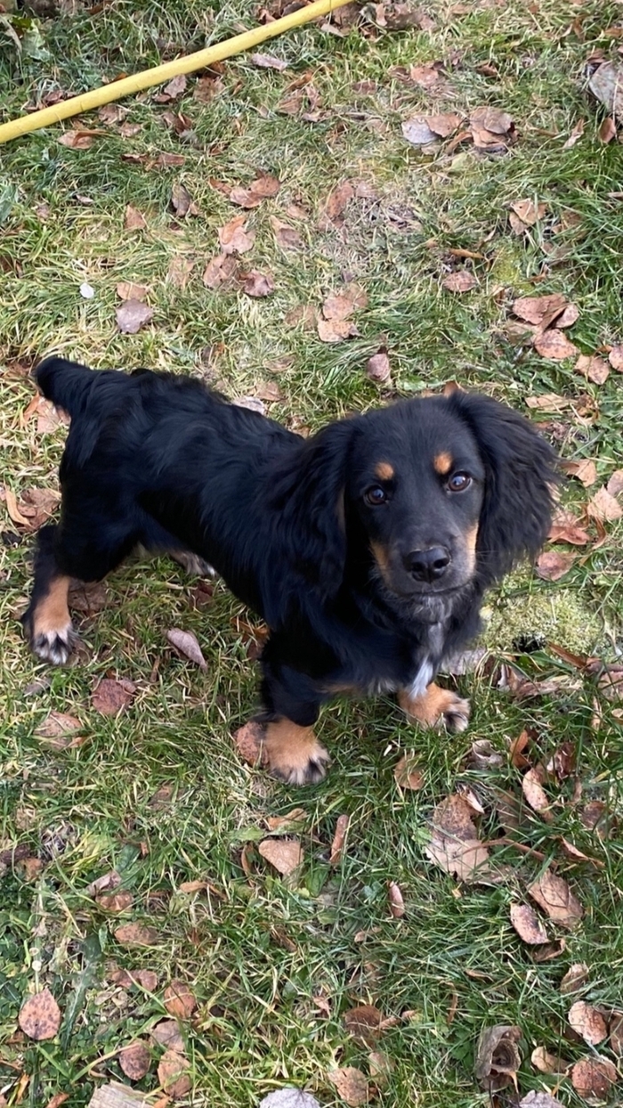 ����� ����! ���������� ������