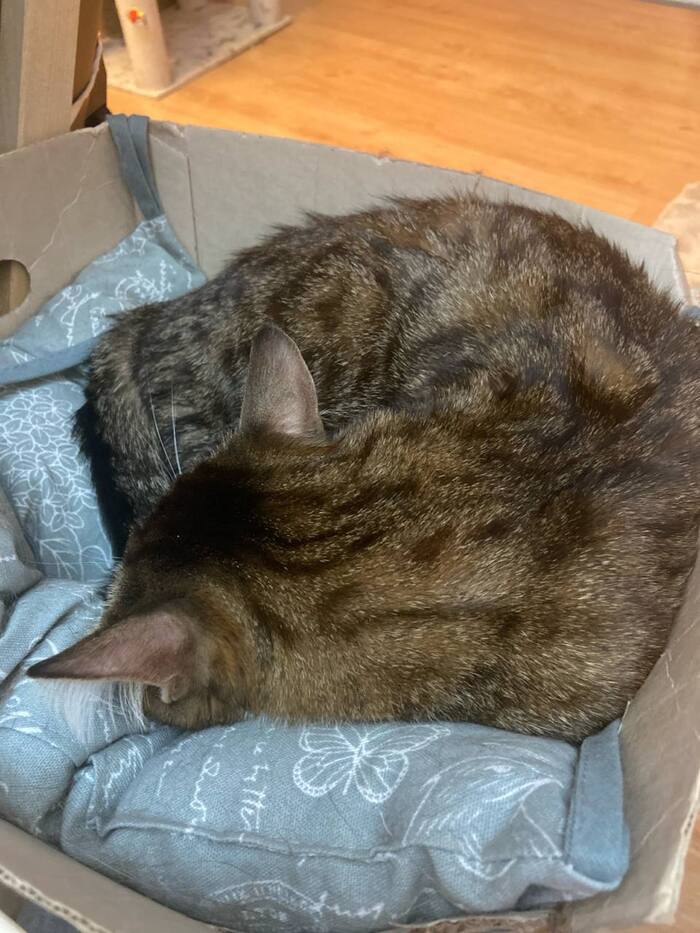 ������� ��������, ����� �� ��������� ��������� � ������