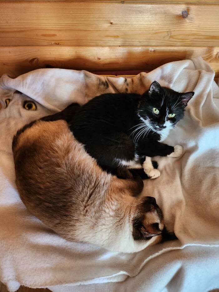 �� ������ � �� ����!