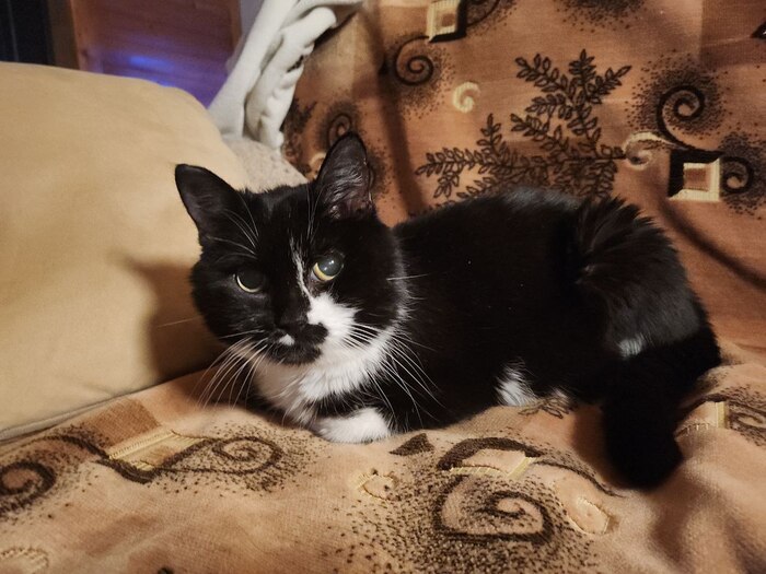 ����� ��� ������ ������ ����?