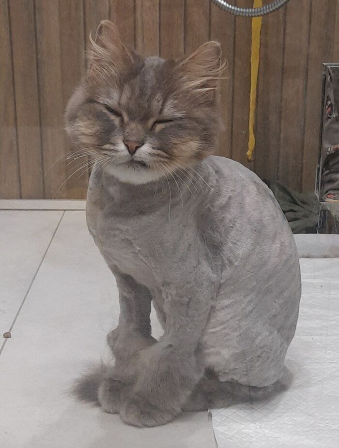 ����� ��������