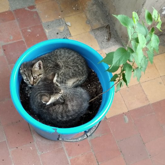 ���������������