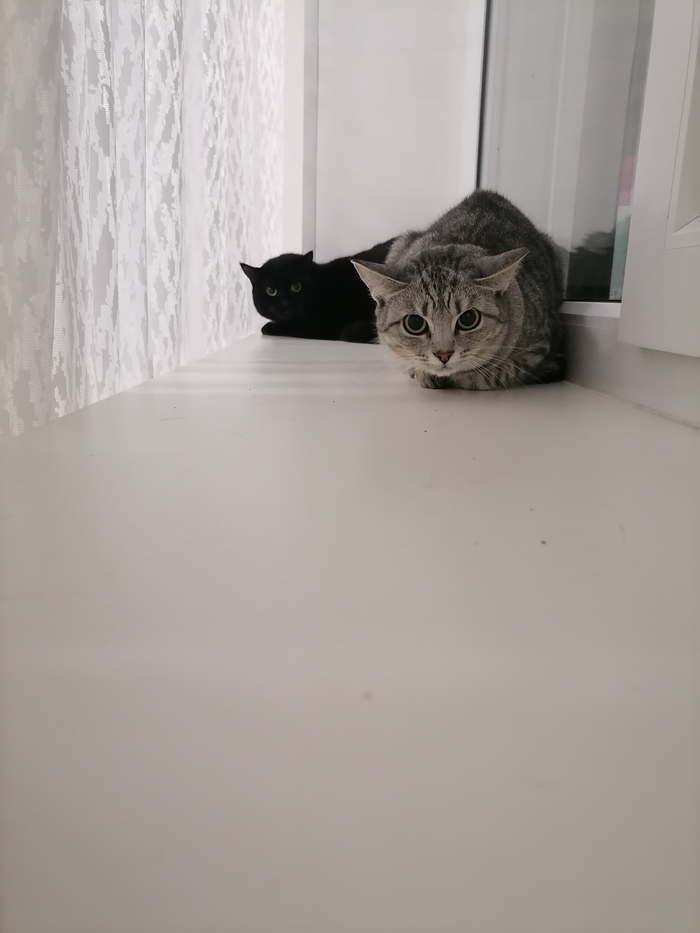 ������ ���� ���� �����