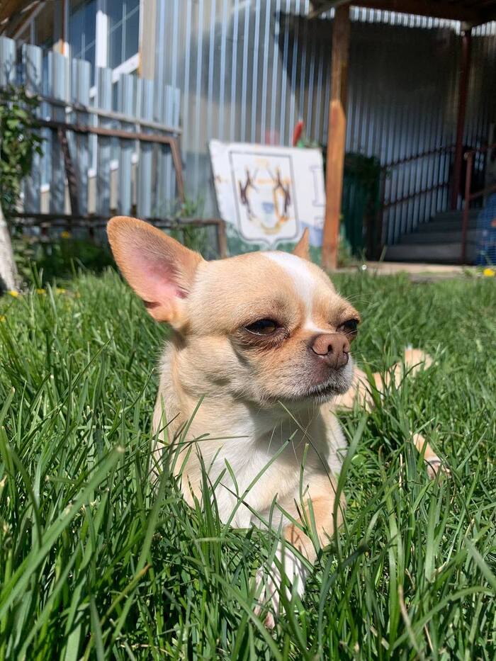 ��� ������ ����������...