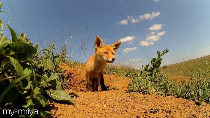 ���� ����� ������ ���� �� ������ ���� ������ � ���� � ����.