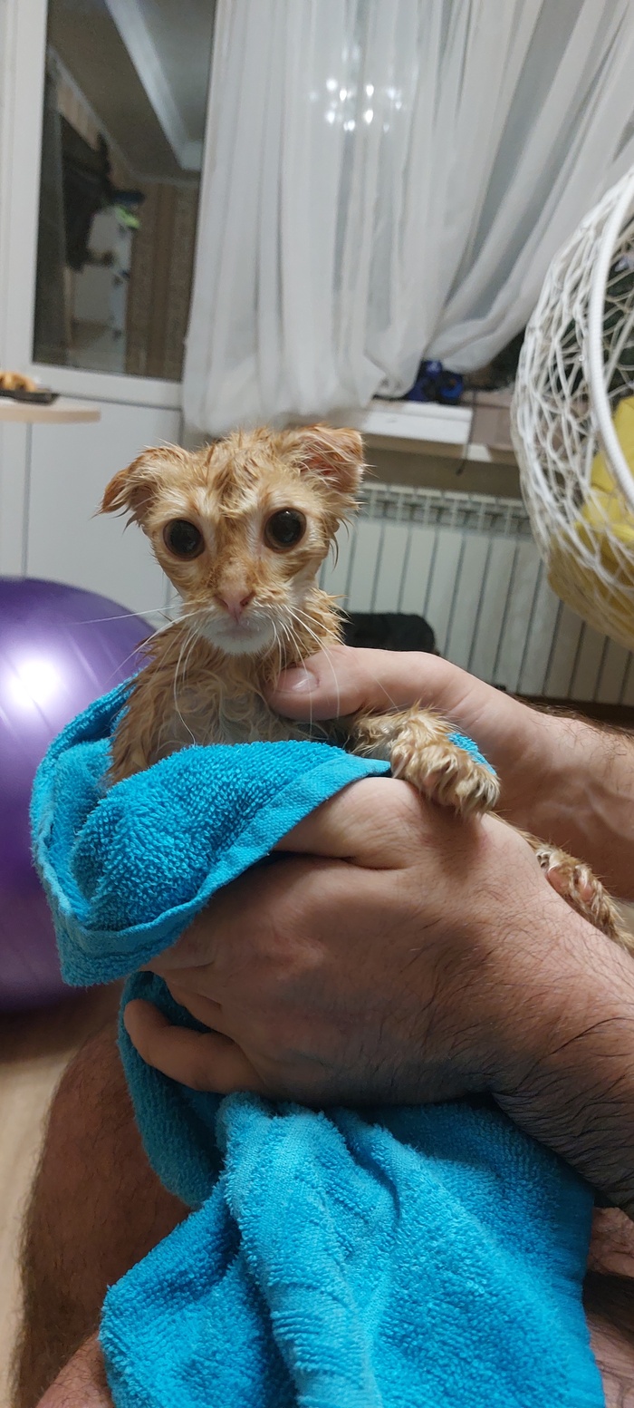 ����� �� ���� ���������� �� �� ������ ������� ���� ����. ���� � �� ��. ������� � ������ ����. �������� ���!�