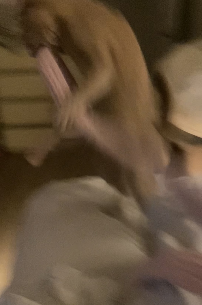 �������� ���