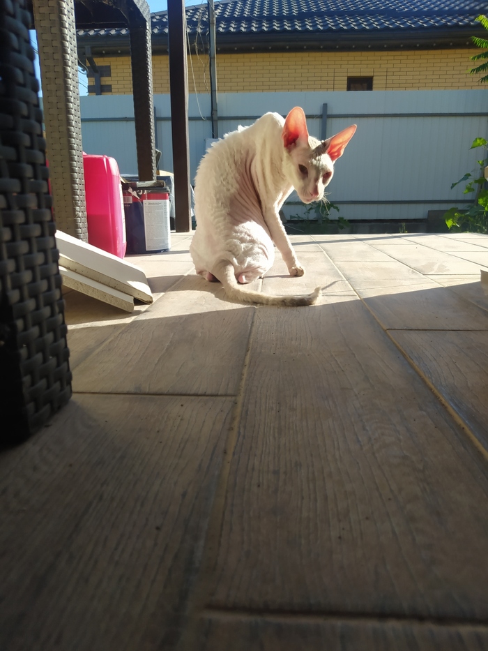 ����� �� ���� ���������� �� �� ������ ������� ���� ����. ���� � �� ��. ������� � ������ ����. �������� ���!�