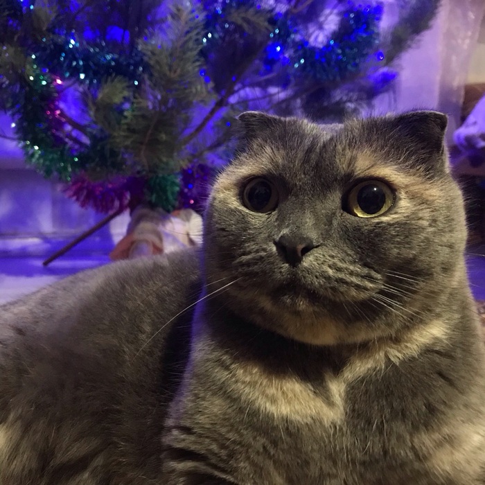 ������ ���� ���� ����� ����