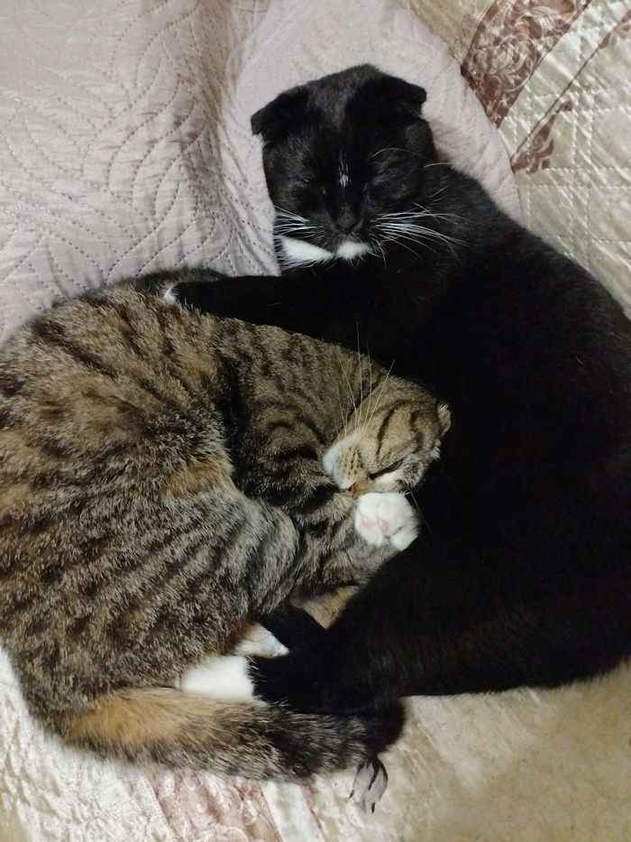 ����. �� ��� �� ���������� ���. 