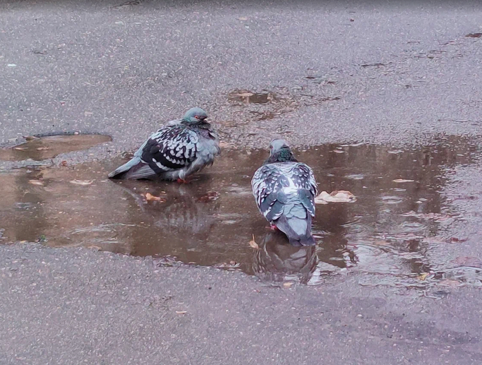 �������. ����� �� ������� � ����? - ��� ����