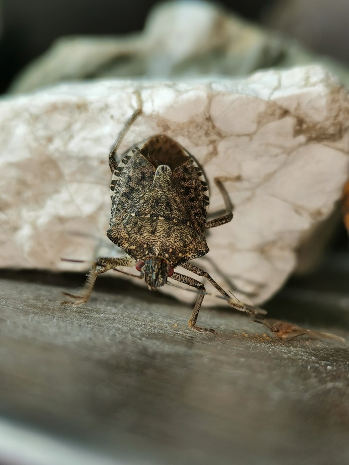 ����� ������ �� ���� ����.