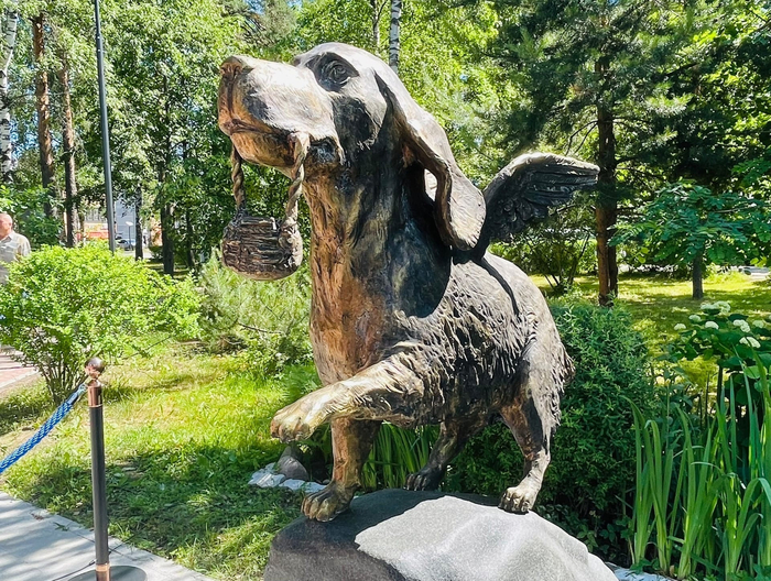 Трогательная история про собаку