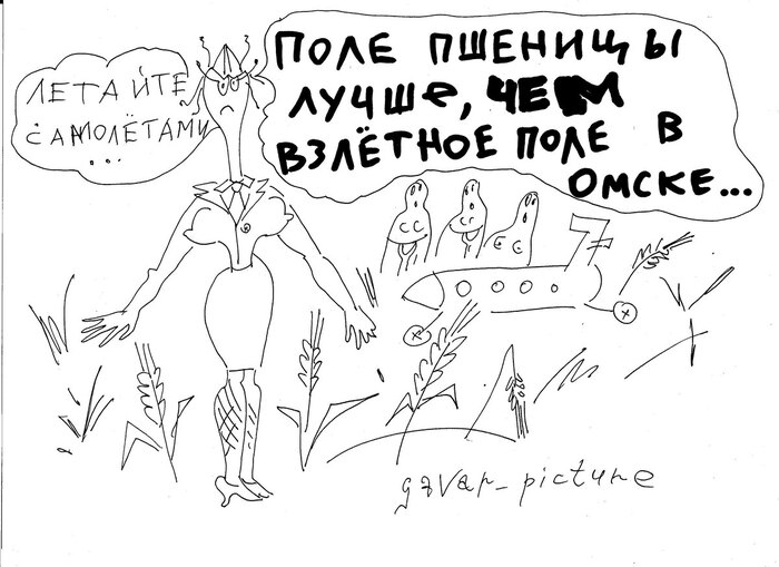 В Госдуме назвали г..ном результаты конкурса на звание молодежной столицы России