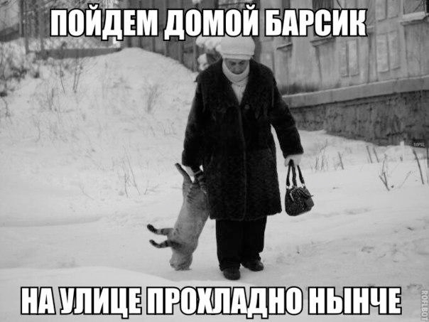 ������� ���)