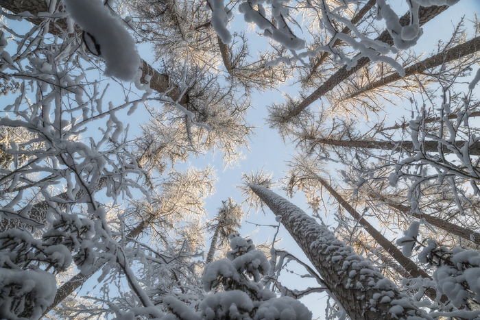 ����: ������� ��������� <a href="https://pikabu.ru/story/zimnee_kruzhevo_13529082?u=https%3A%2F%2Frtraveler.ru%2Fphoto%2F1480223%2F%3Feditorial_photos%3D1&t=%D0%BE%D1%82%D1%81%D1%8E%D0%B4%D0%B0&h=a6781188c2456ff1bfc8113aeba15ede404d2a4c" title="https://rtraveler.ru/photo/1480223/?editorial_photos=1" target="_blank" rel="nofollow noopener">������</a>