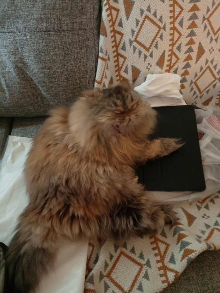 ������� �� �������!