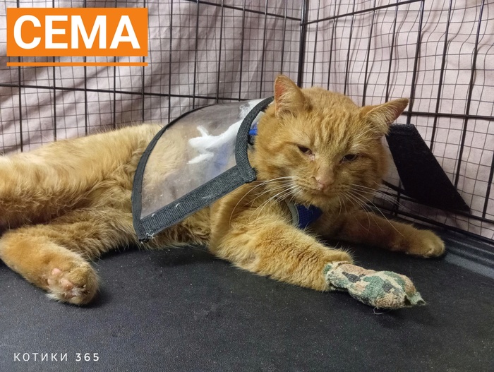 ���� 22.12.2025