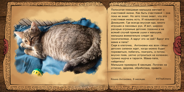 �� ���, �������