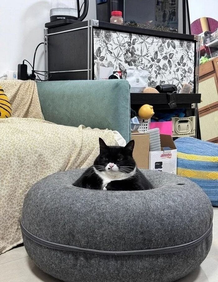 � ������ ���� �����