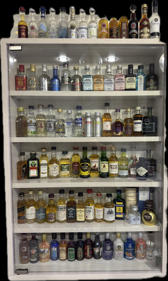 �����������������