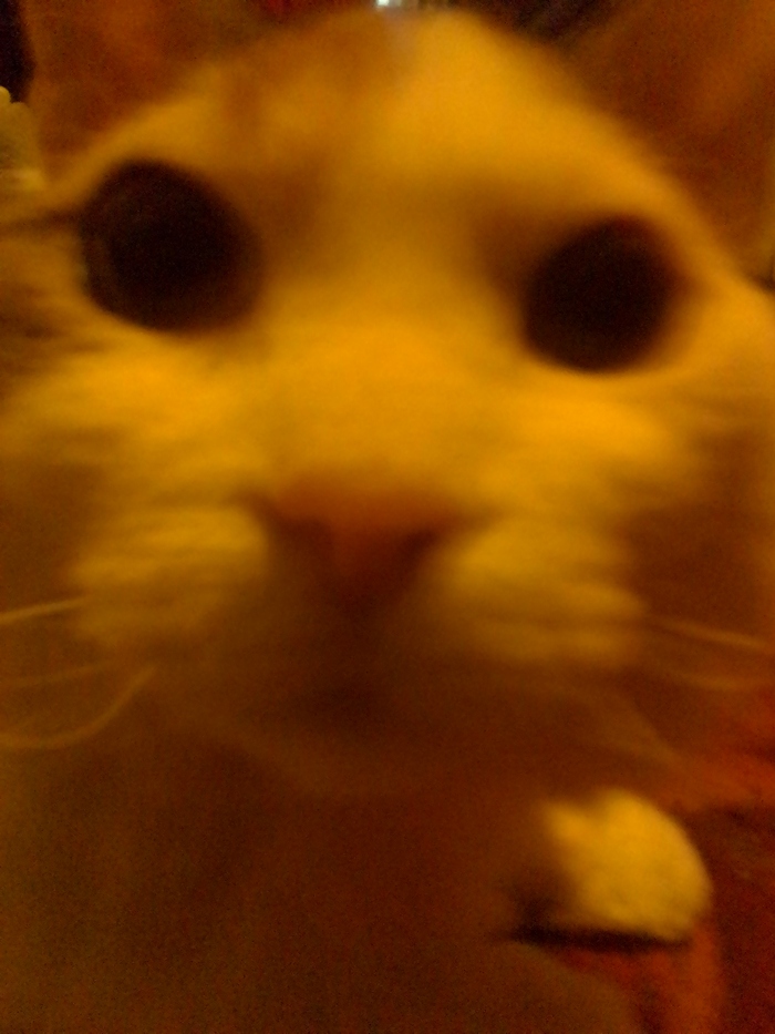 ����� �� ���� ���������� �� �� ������ ������� ���� ����. ���� � �� ��. ������� � ������ ����. �������� ���!�