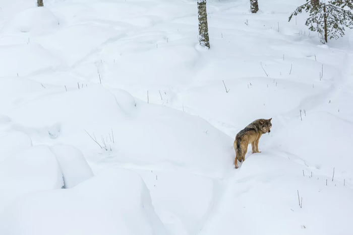 ��������� �������. ��� ����� �� ������!