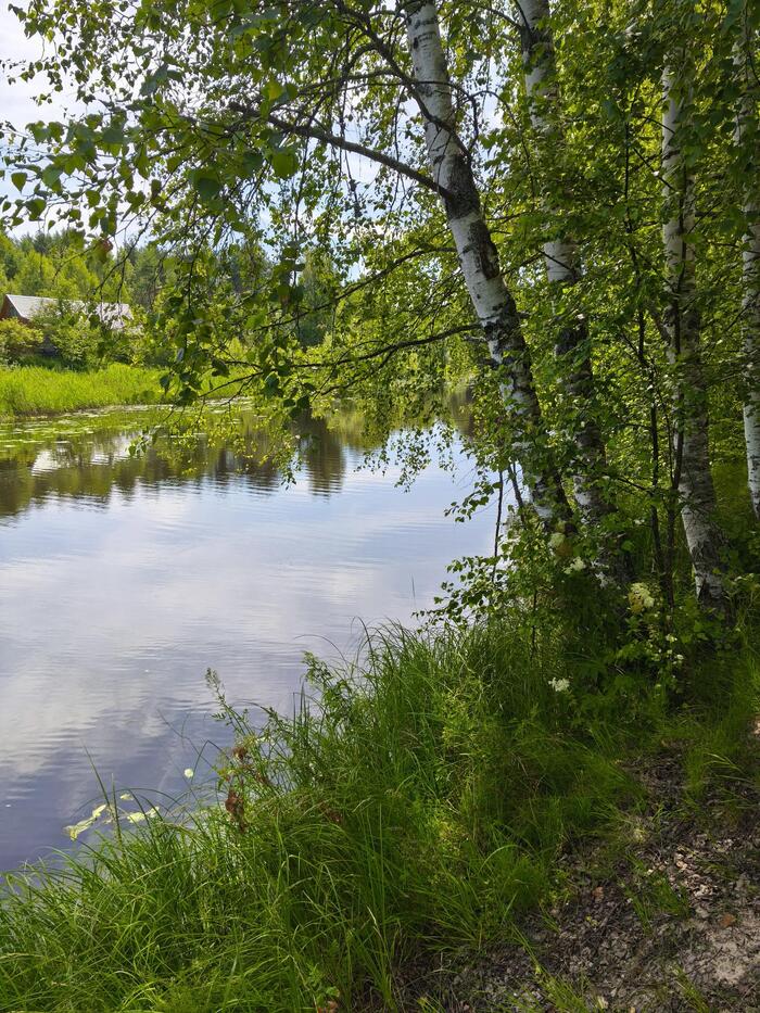 ��� �� ���, �� ������� ��� ����� � ����