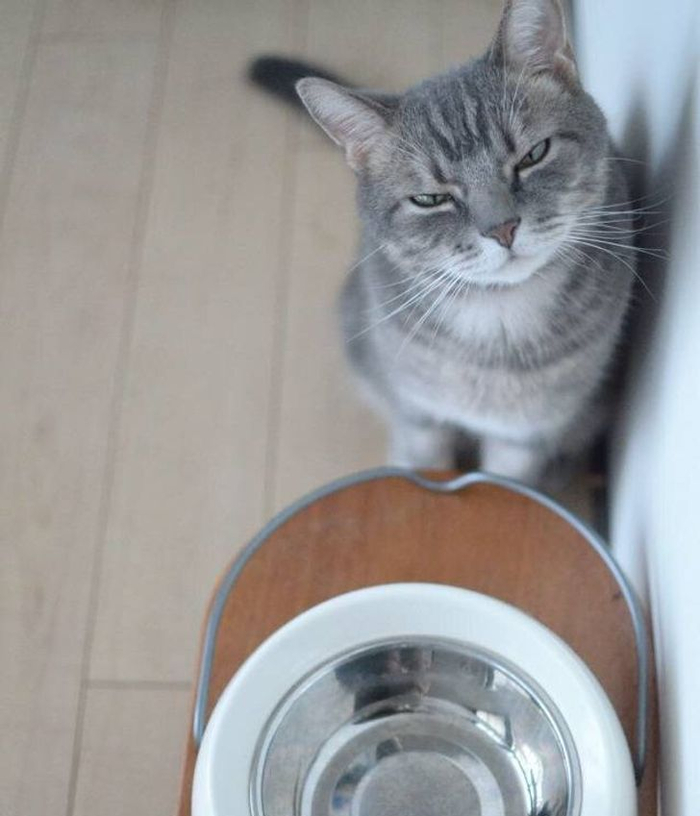 � ����� �����!