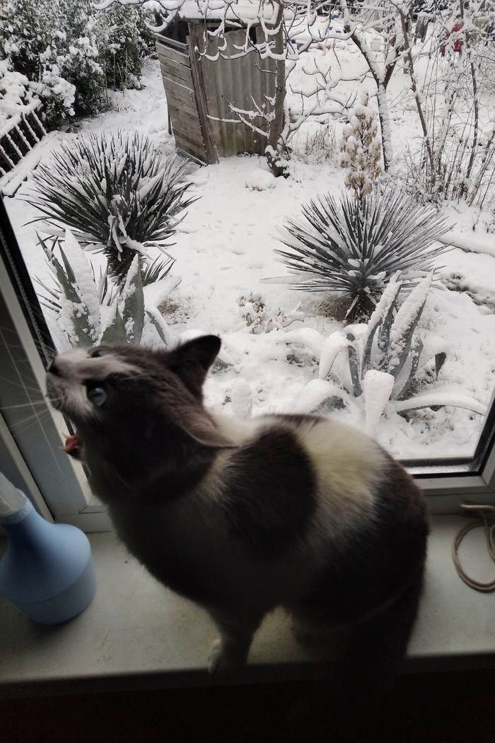 ����� �� ���� ���������� �� �� ������ ������� ���� ����. ���� � �� ��. ������� � ������ ����. �������� ���!�