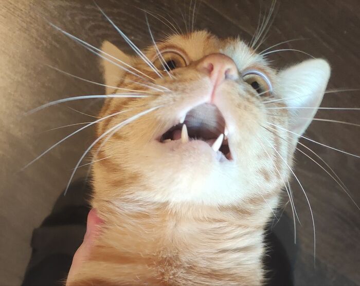 ����� Moddex � ���������� �� �� ������ ������� ���� ����. ���� � �� ��. ������� � ������ ����. �������� ���!�