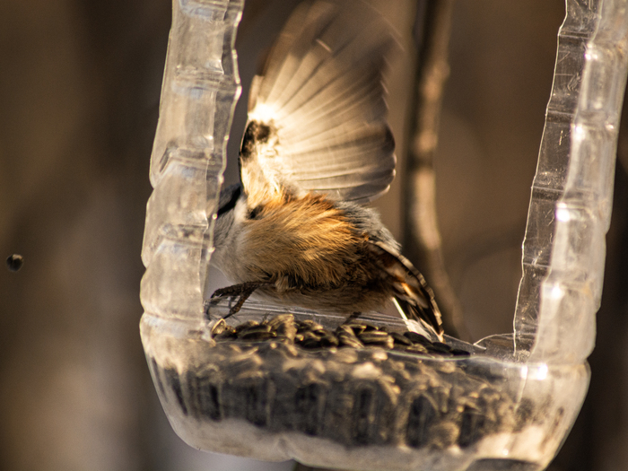 ����� ����...