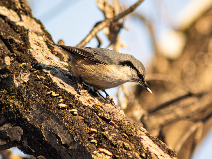 ��������� ������� �����)