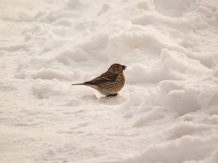 ����� ����� � ����� ����🙂🙏