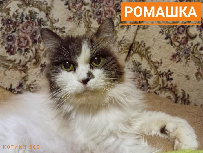 ������� 23.12.2025