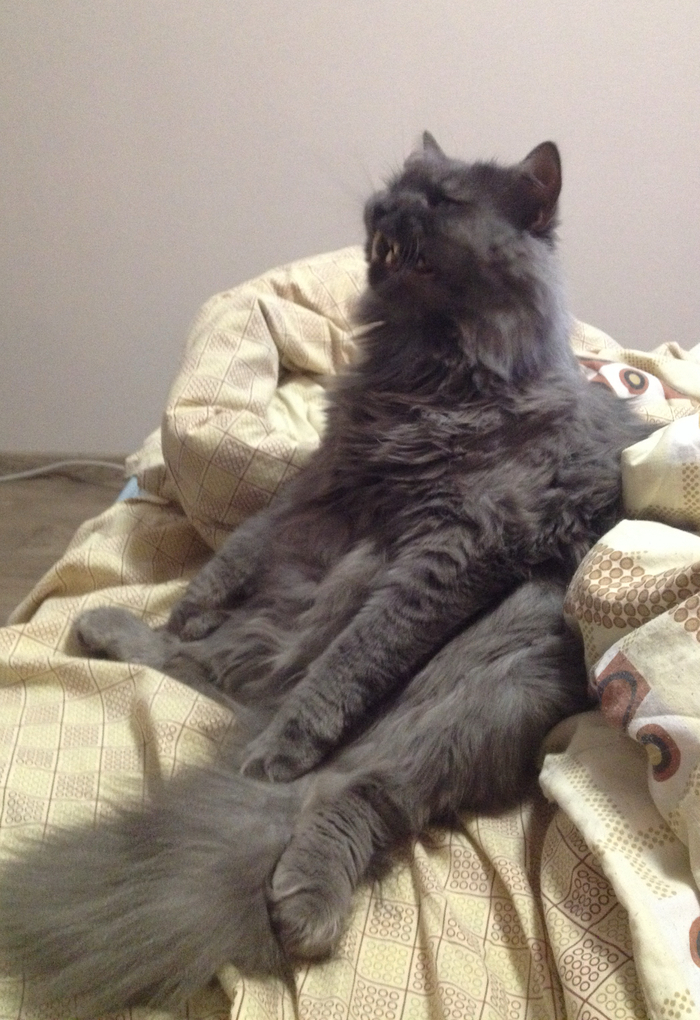 ����� �� ���� ���������� �� �� ������ ������� ���� ����. ���� � �� ��. ������� � ������ ����. �������� ���!�