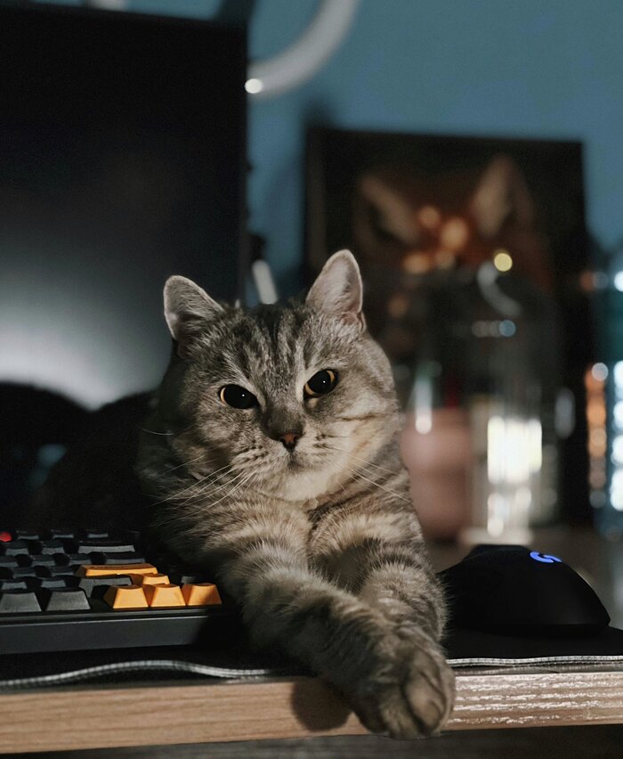 <!--noindex--><a href="https://pikabu.ru/story/sdobovoe_13531744?u=https%3A%2F%2Fx.com%2Fi%2Fstatus%2F2003427888381710806&t=https%3A%2F%2Fx.com%2Fi%2Fstatus%2F2003427888381710806&h=6408827d0c2431b29ae279fdc70310c28b596a1f" title="https://x.com/i/status/2003427888381710806" target="_blank" rel="nofollow noopener">https://x.com/i/status/2003427888381710806</a><!--/noindex-->