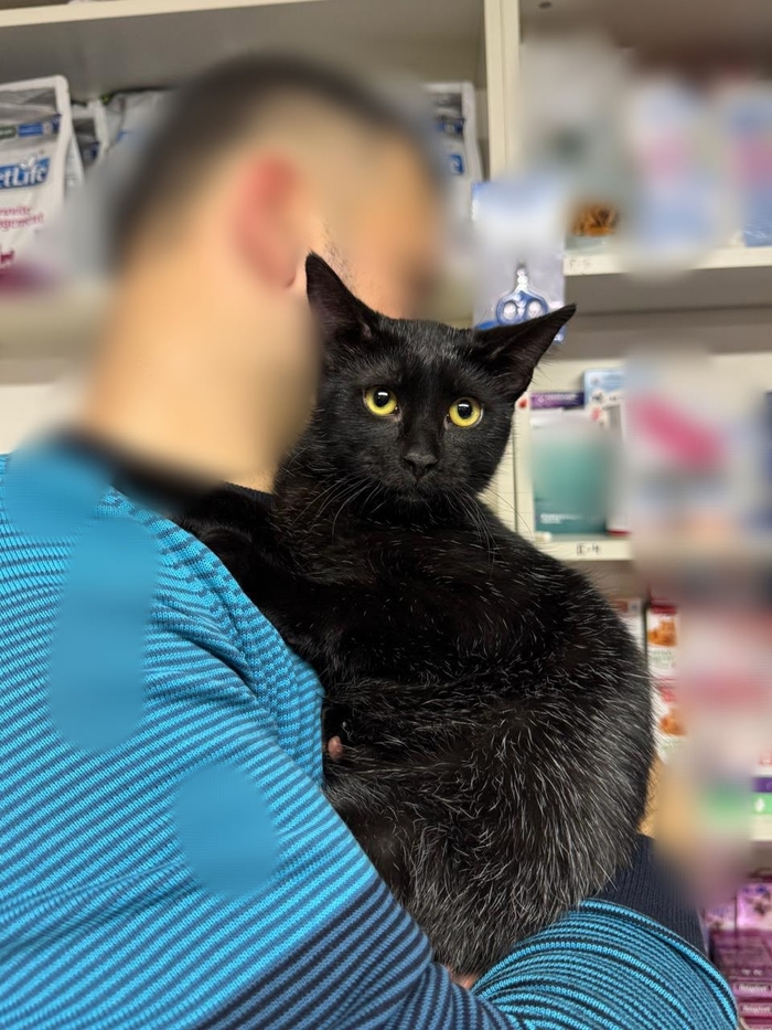 ����� ���������! ���� ���. �����-���������