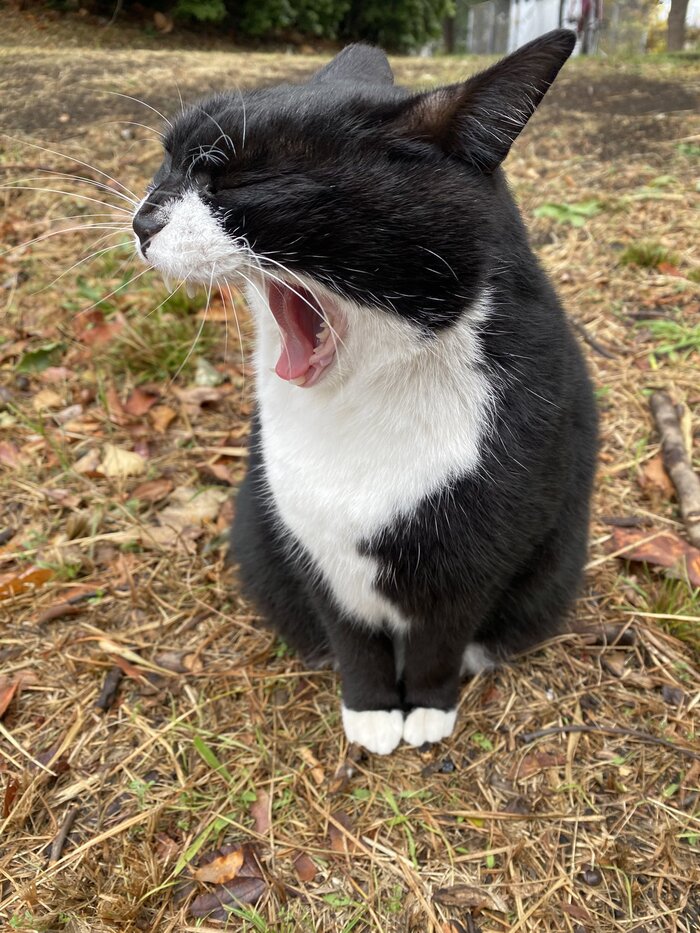 ���� �� ���: